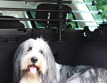 Trenngitter für Hunde Auto, SUV
