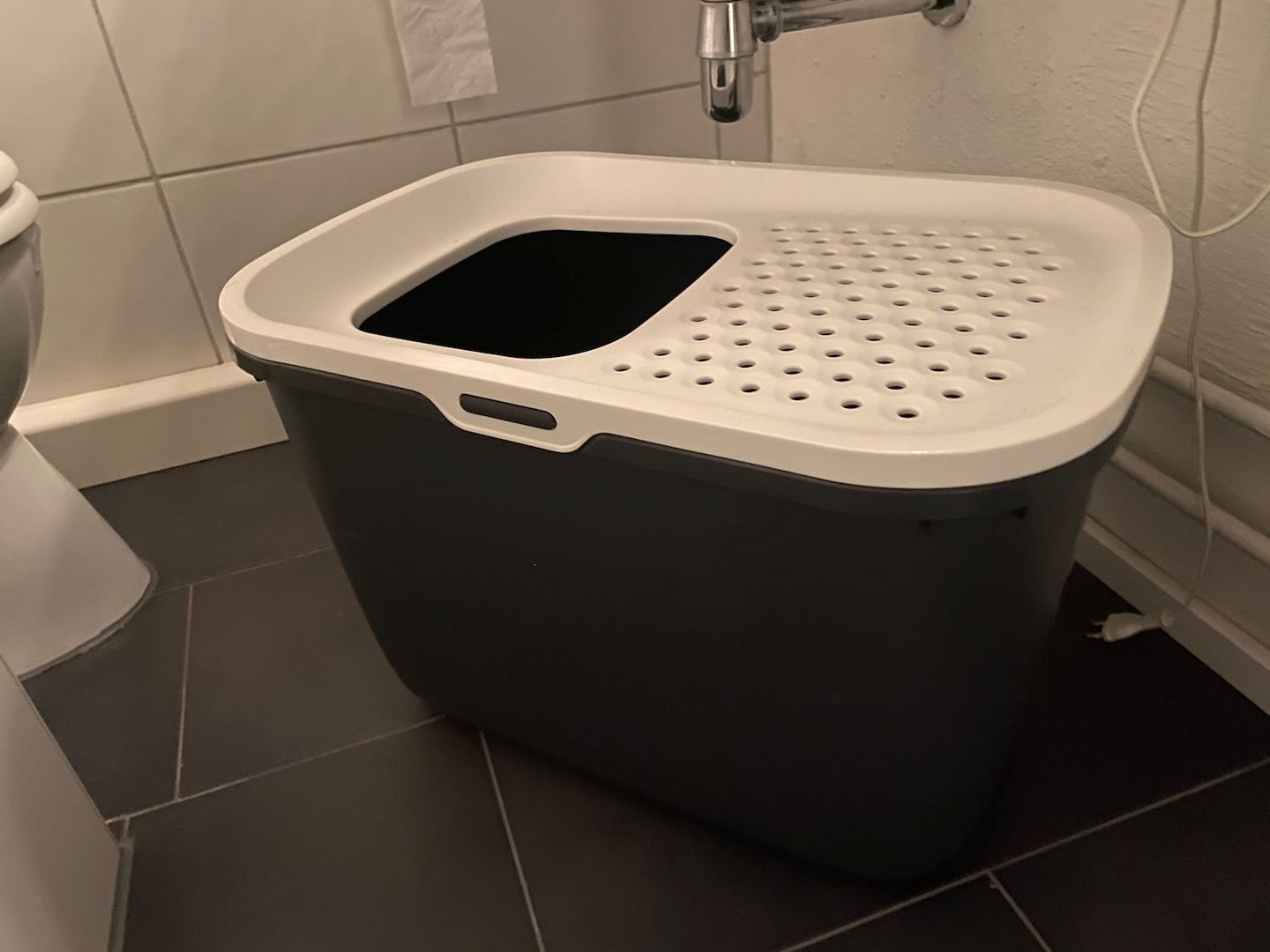 Zwei Katzen suchen ein neues zu Hause