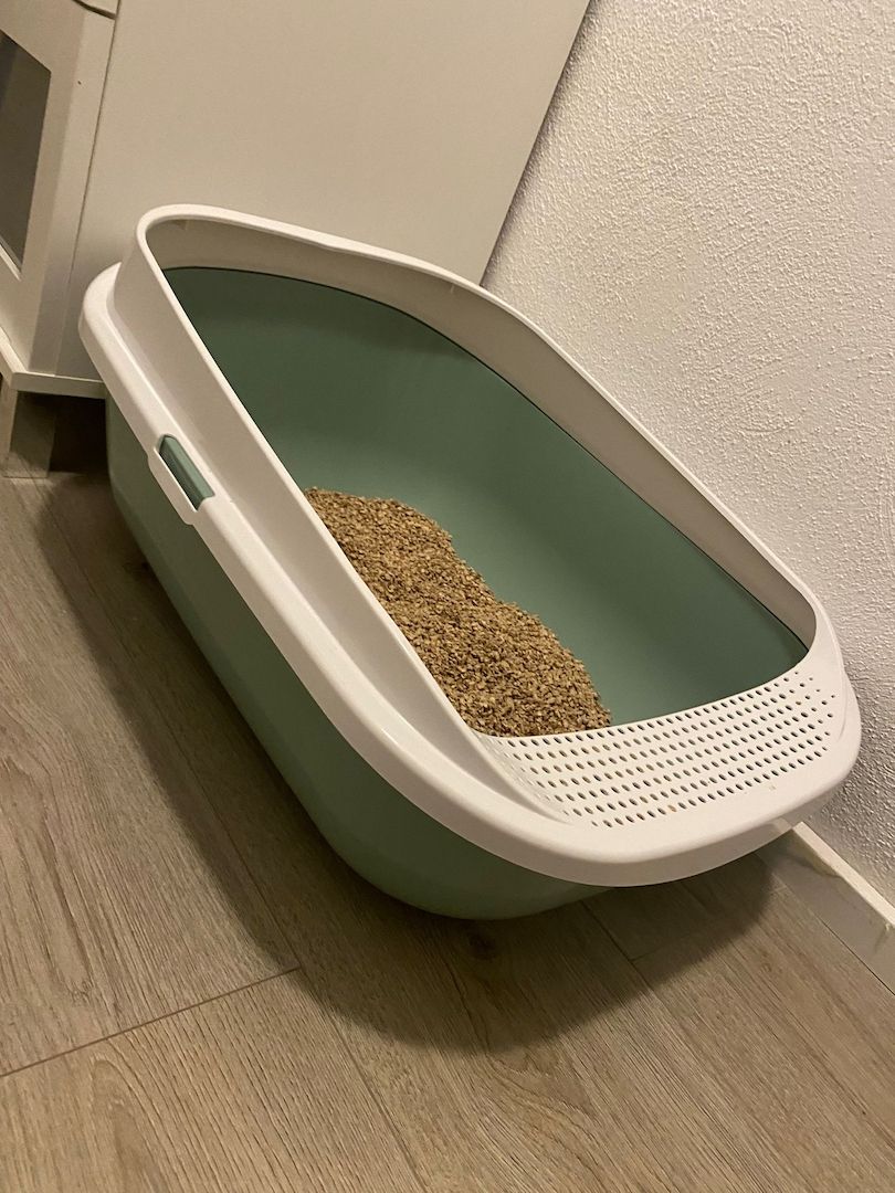 Zwei Katzen suchen ein neues zu Hause