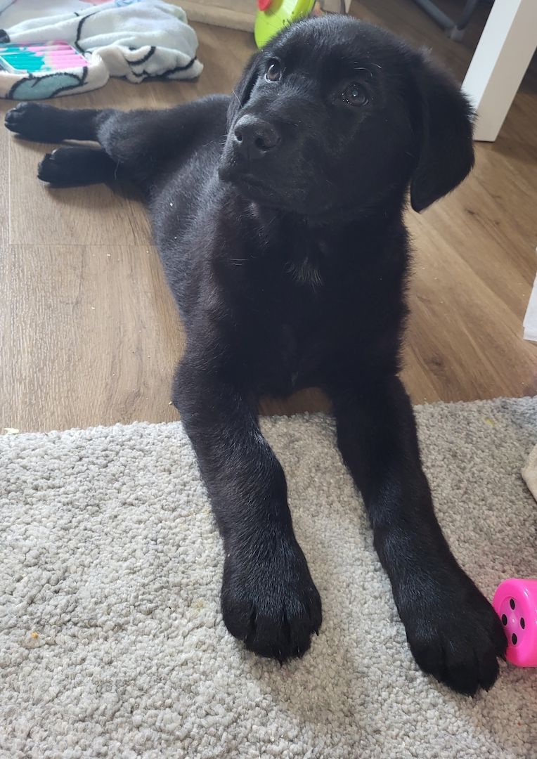 Suche warmes zuhause