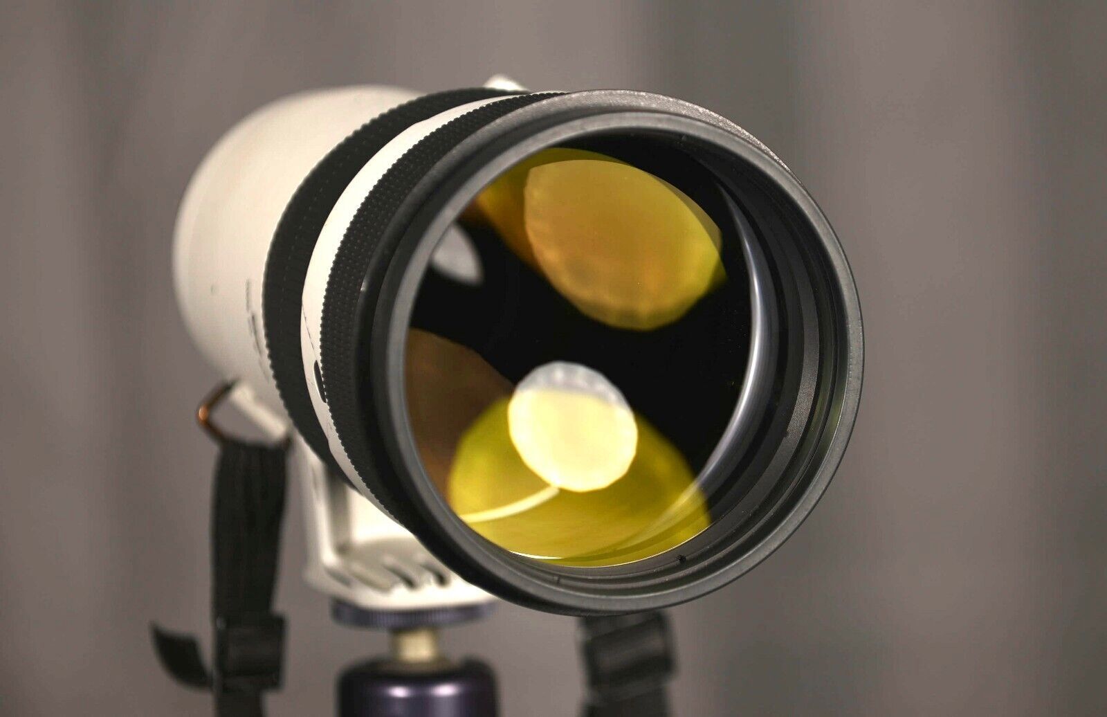 Nikon ED Nikkor AF-S  300mm f2.8 D II Grau