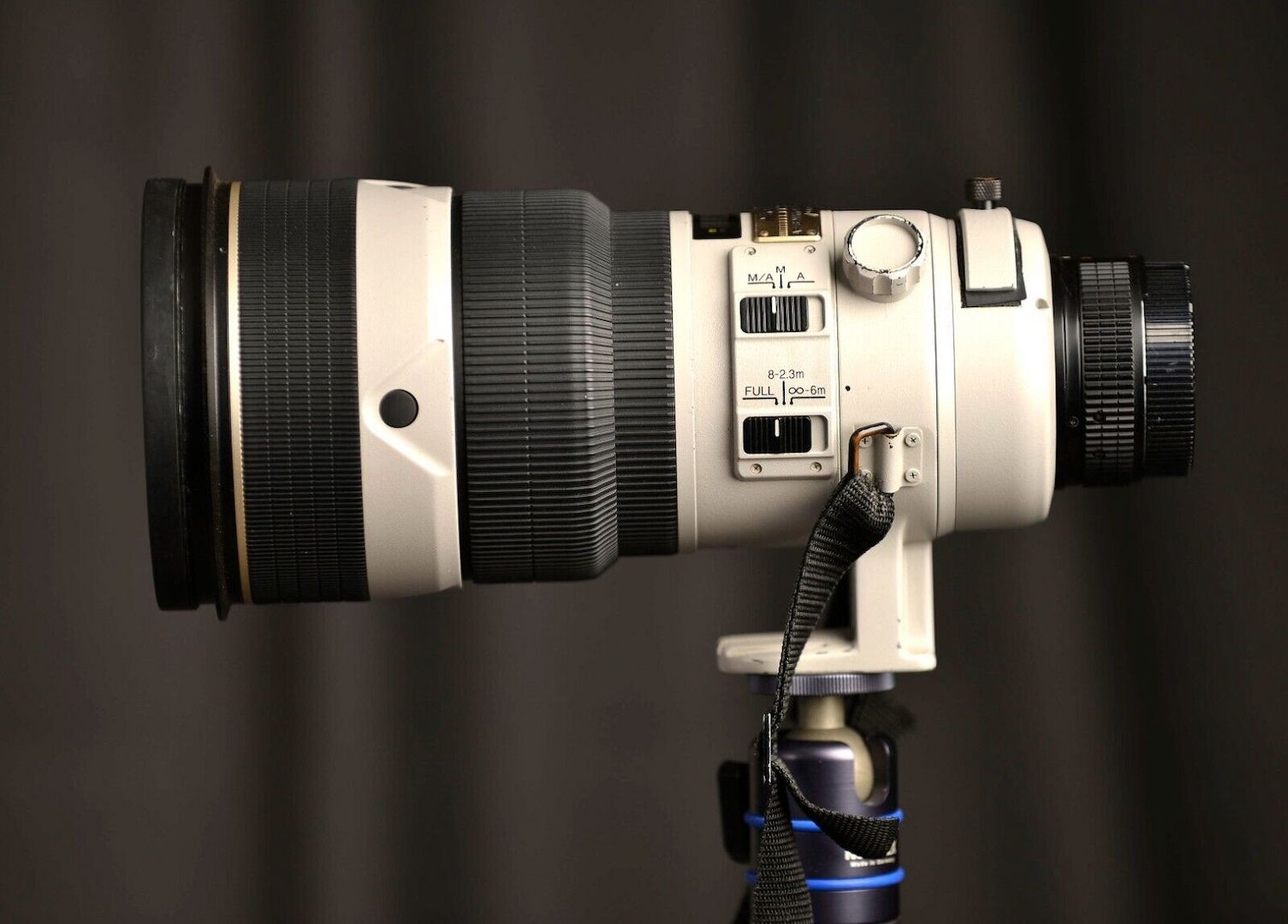 Nikon ED Nikkor AF-S  300mm f2.8 D II Grau