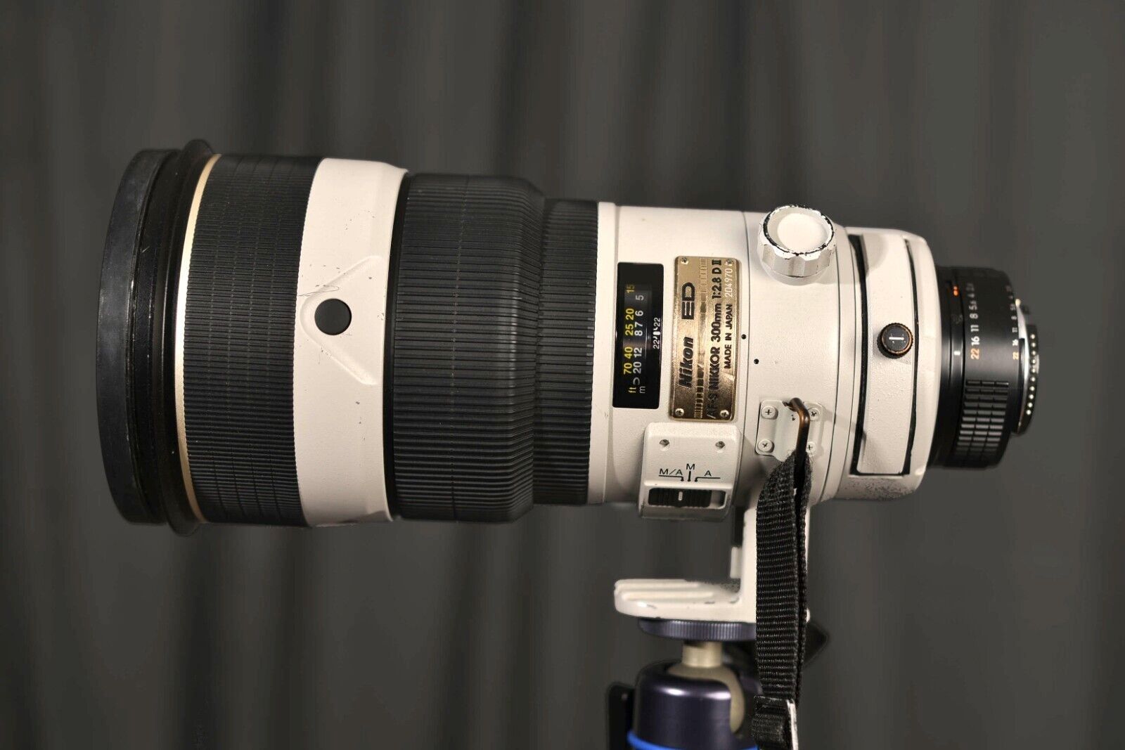 Nikon ED Nikkor AF-S  300mm f2.8 D II Grau