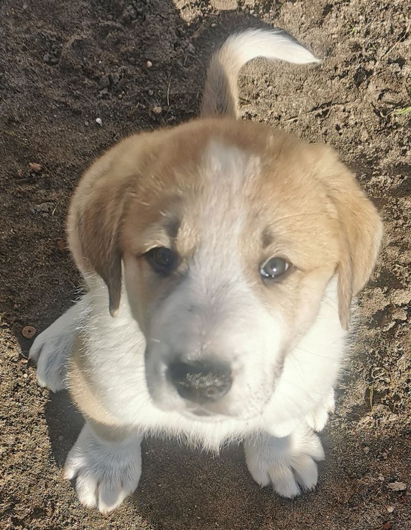 Hallo! Ich bin Filu! Und wer bist Du?