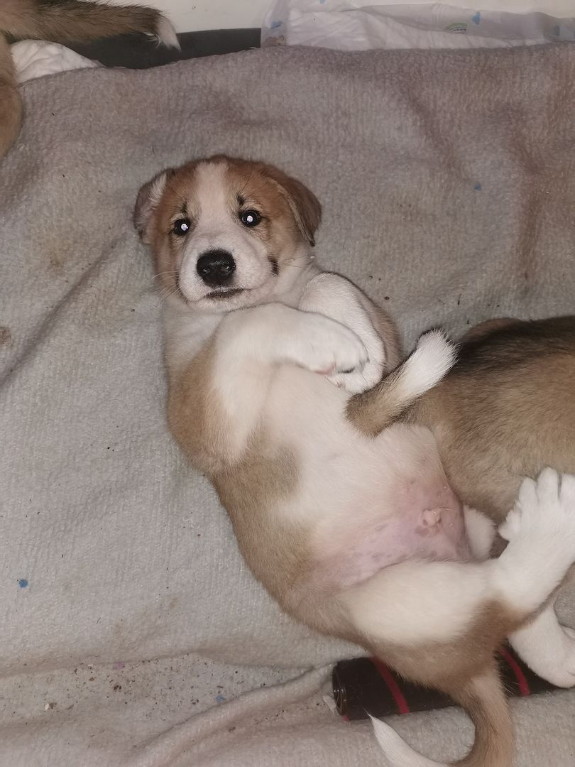 Hallo! Ich bin Filu! Und wer bist Du?