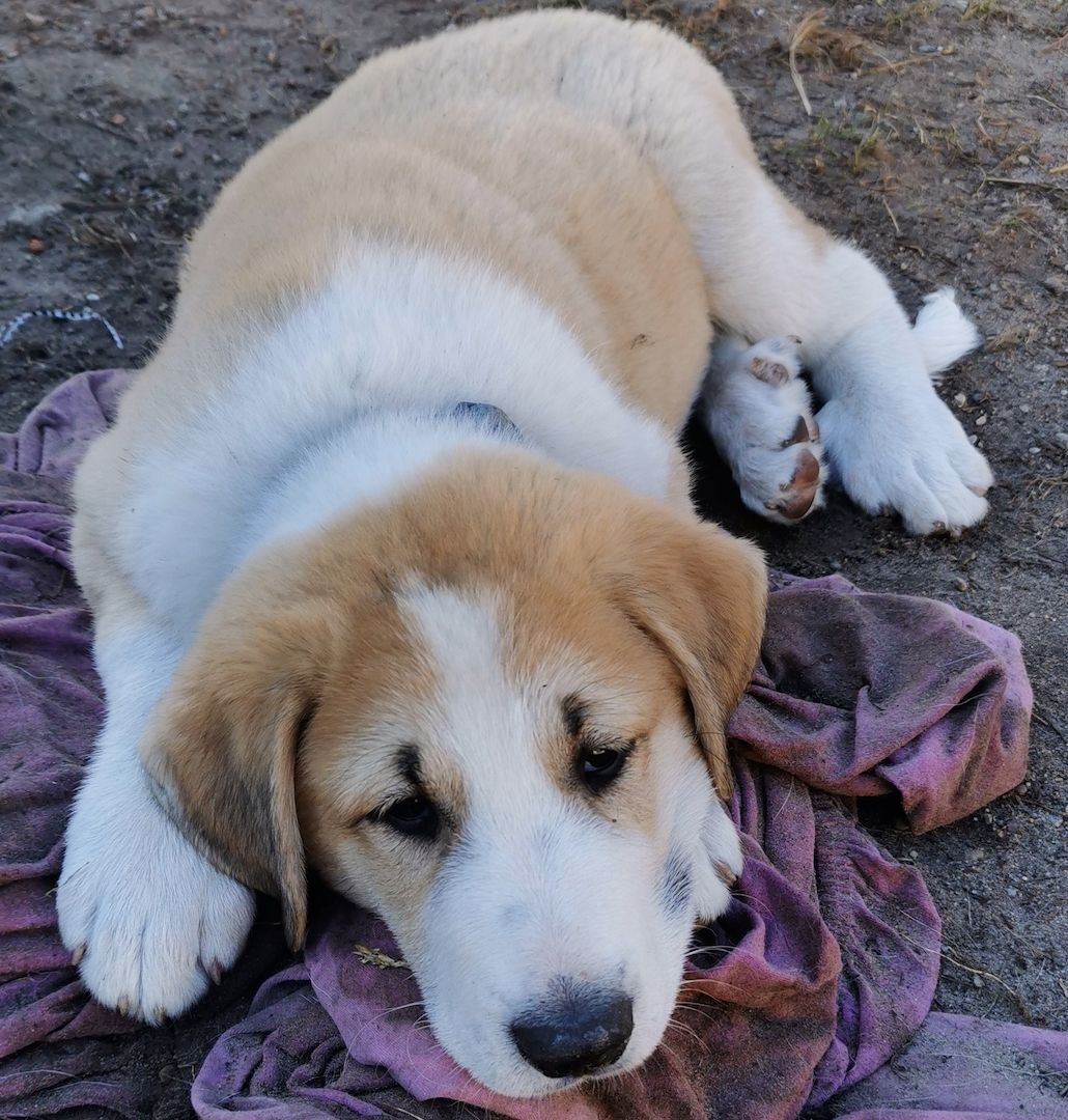 Hallo! Ich bin Filu! Und wer bist Du?