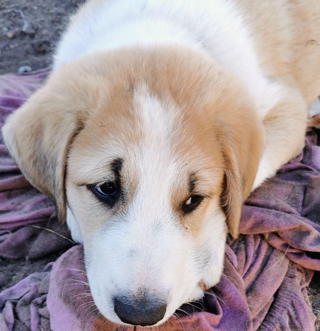 Hallo! Ich bin Filu! Und wer bist Du?