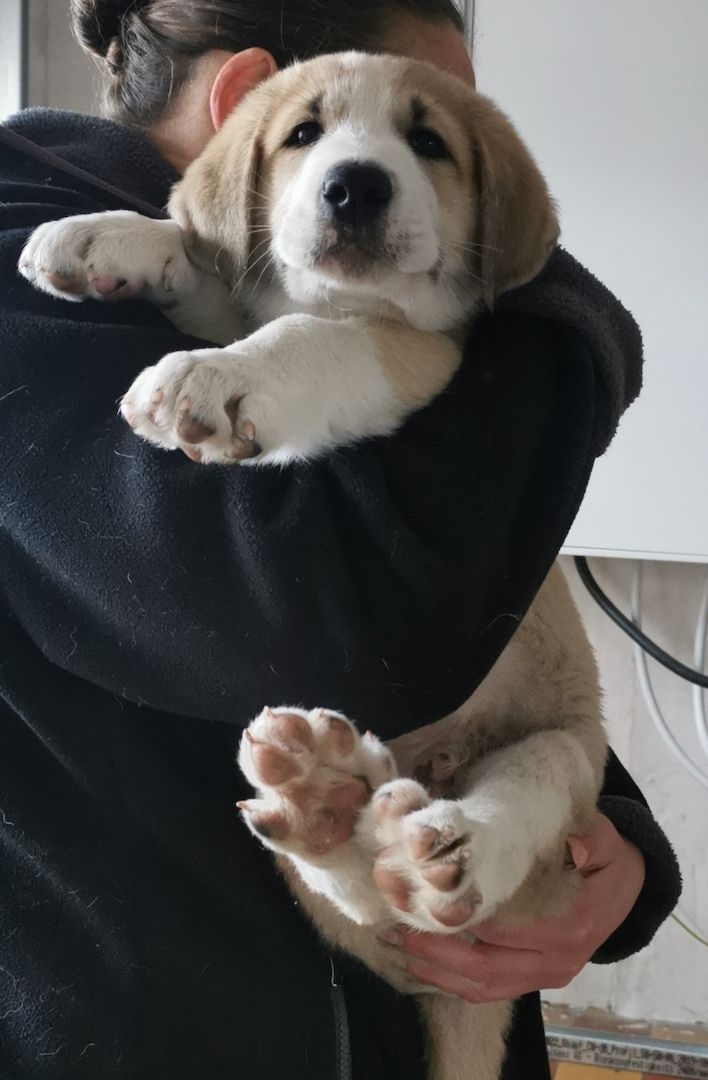 Hallo! Ich bin Filu! Und wer bist Du?