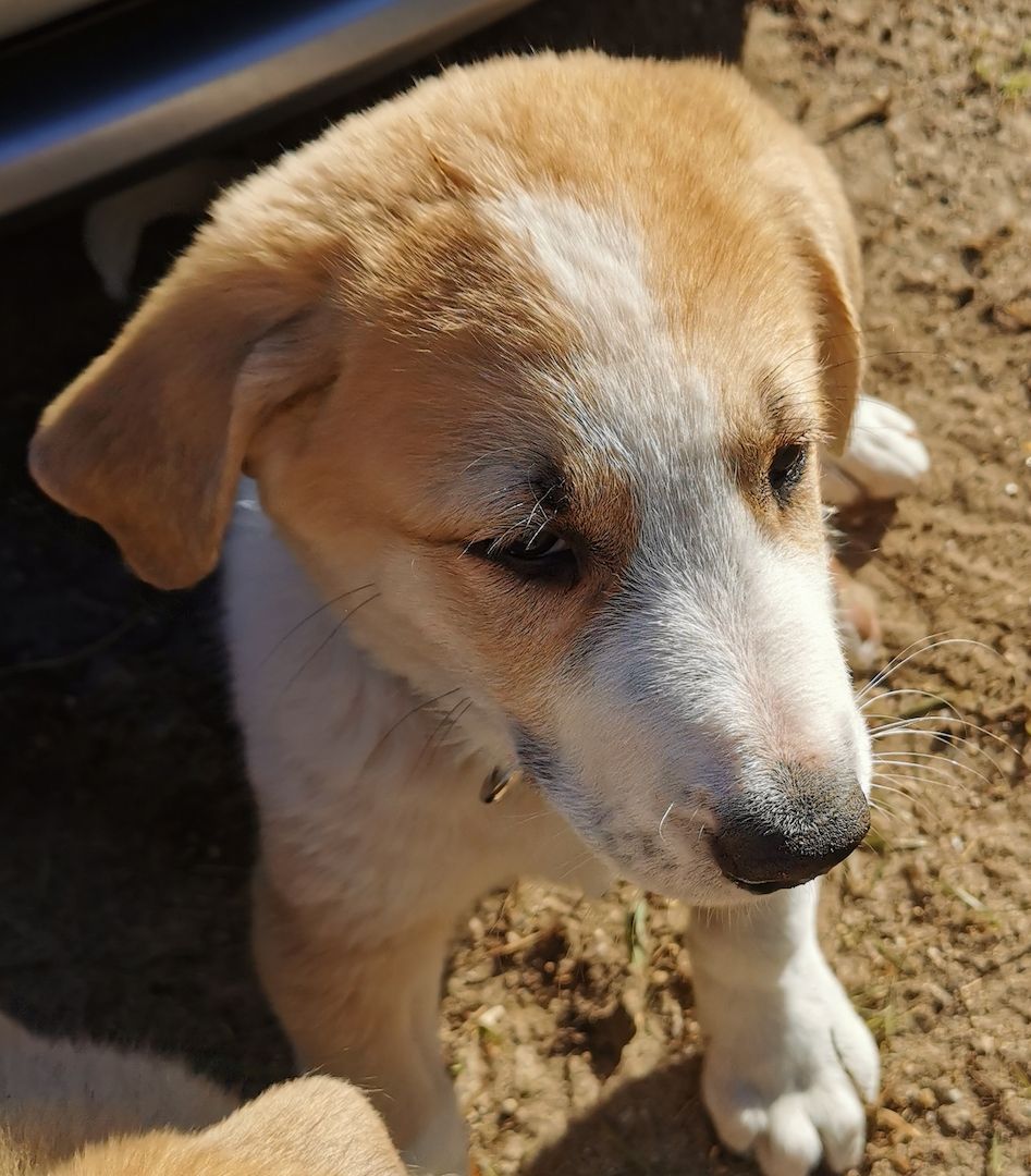 Hallo! Ich bin Filu! Und wer bist Du?