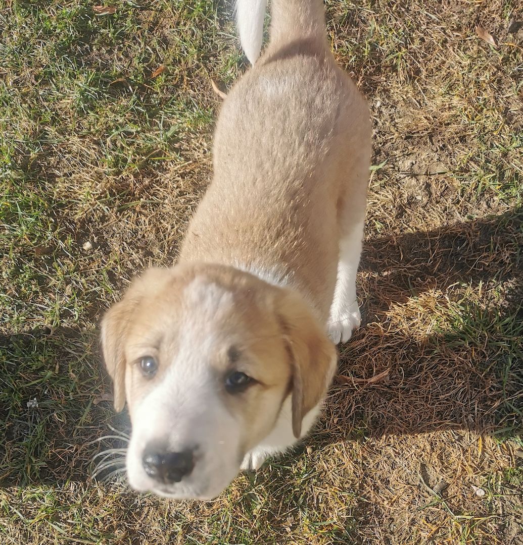 Hallo! Ich bin Filu! Und wer bist Du?