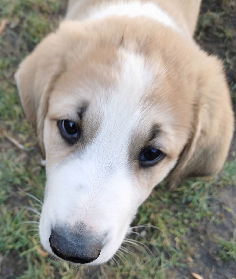 Hallo! Ich bin Filu! Und wer bist Du?