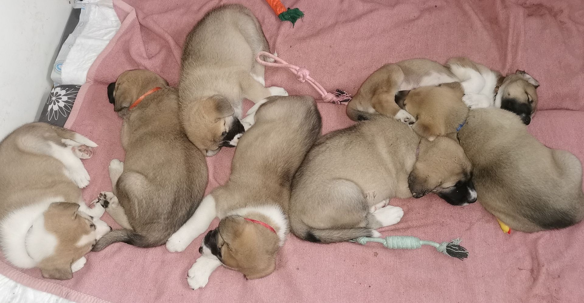 Hallo! Ich bin Filu! Und wer bist Du?