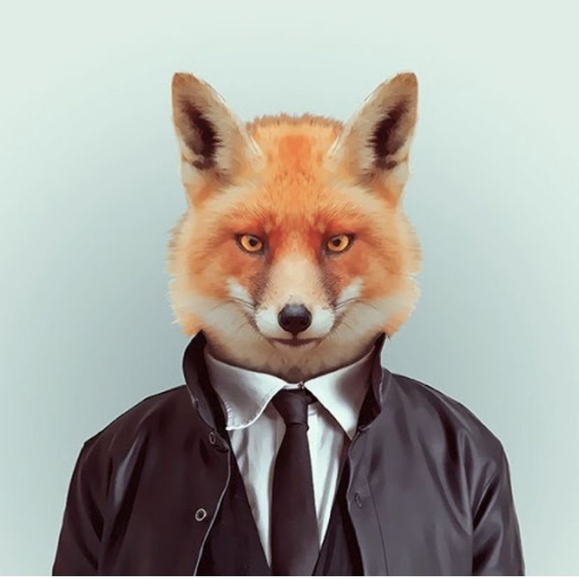 Russisch Blau Kätzchen