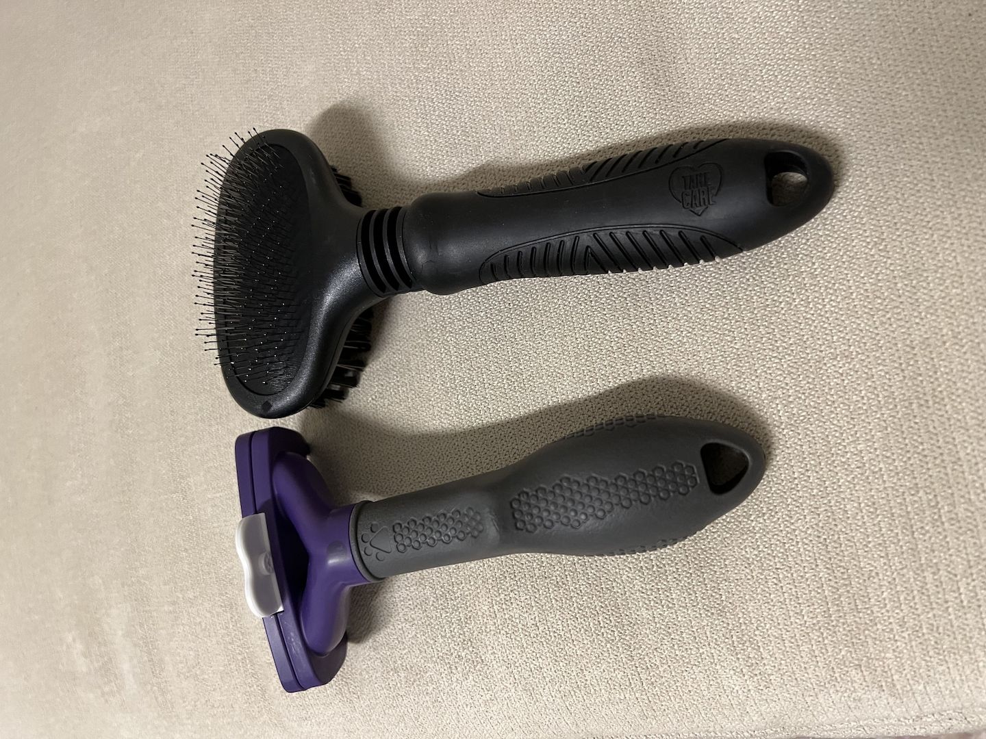 Bkh Kitten, Kater, 4 Monate alt