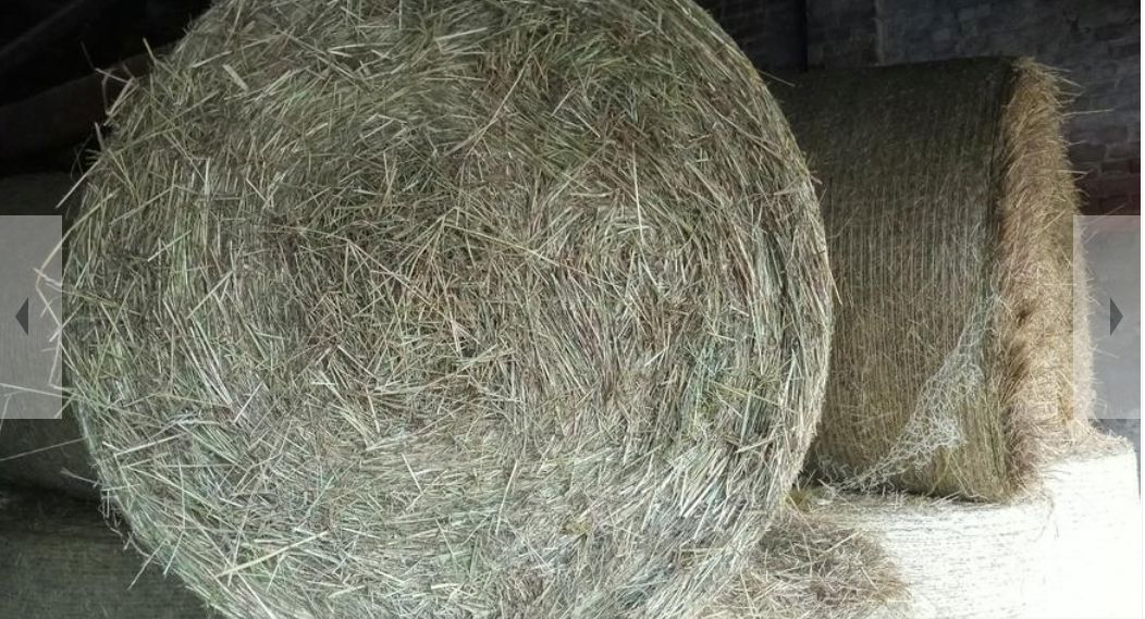 Heu Pferdeheu Pferdefutter Rundballen Heuballen Wiesenheu Heu Pferdeheu Pferdefutter Rundballen Heuballen Wiesenheu