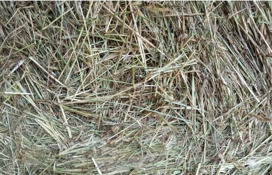 Heu Pferdeheu Pferdefutter Rundballen Heuballen Wiesenheu Heu Pferdeheu Pferdefutter Rundballen Heuballen Wiesenheu