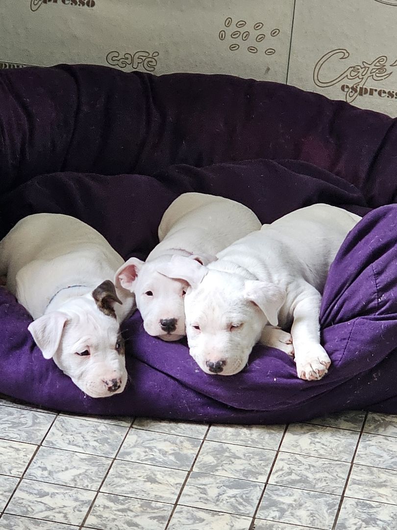 Wir suchen ab Mitte Mai ein neues Zuhause Wir suchen ab Mitte Mai ein neues Zuhause