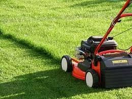 Hausmeisterservice hilft bei Garten & Grundstückspflege Hausmeisterservice hilft bei Garten & Grundstückspflege