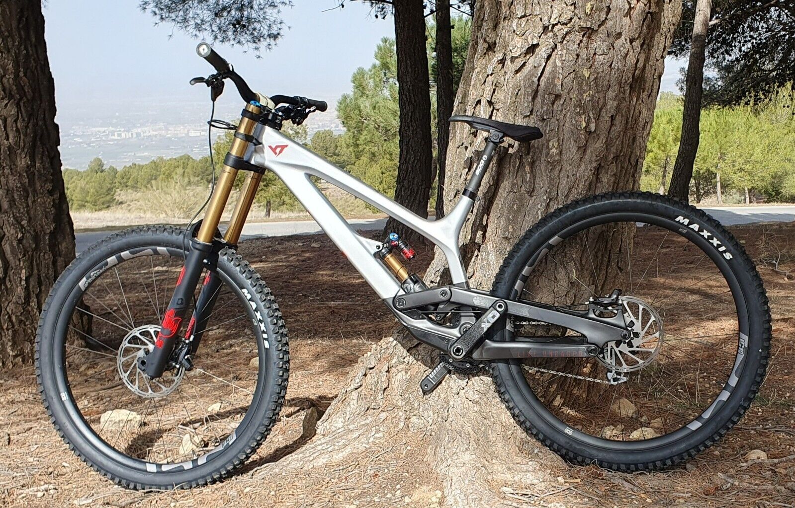 YT Industries TUES Carbon Pro Race 29, XL