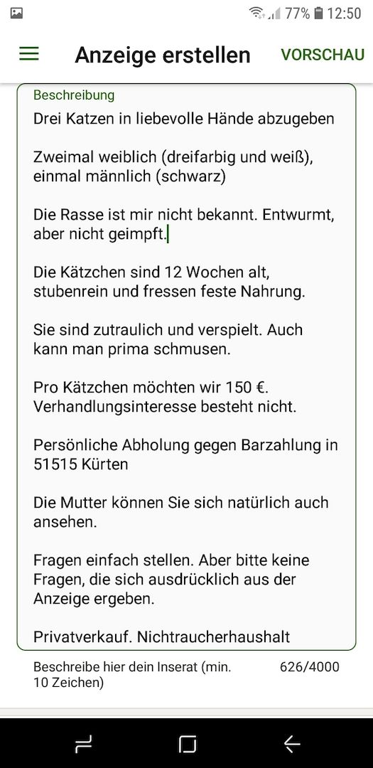 Drei kleine Kätzchen