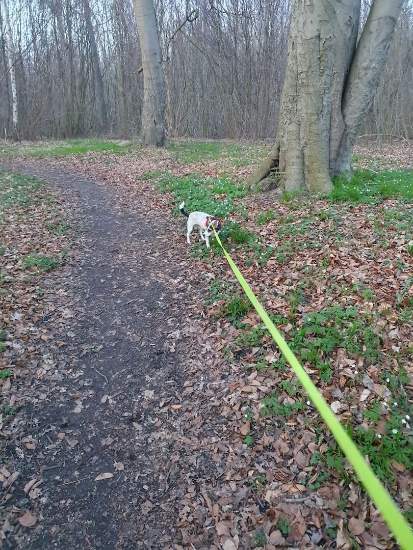 Aus gesundheitlichen Gründen