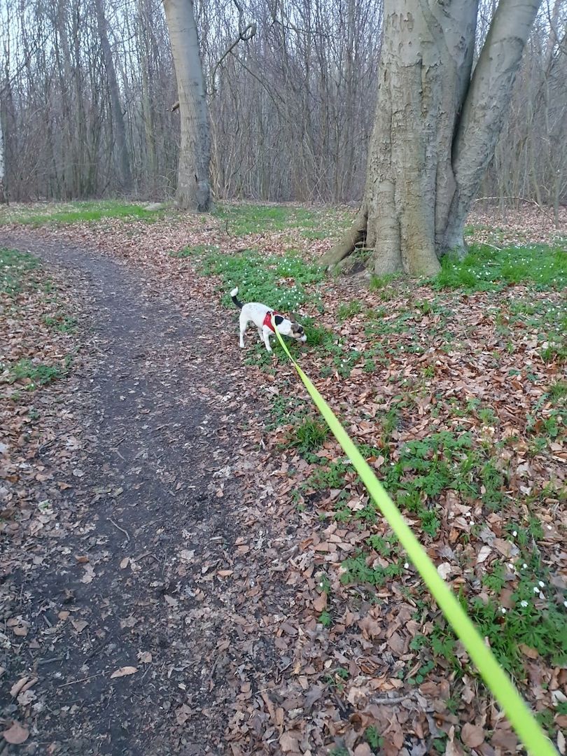 Aus gesundheitlichen Gründen