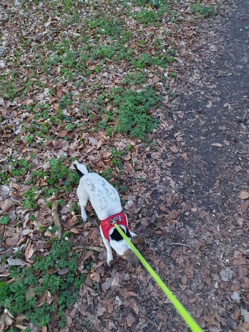 Aus gesundheitlichen Gründen