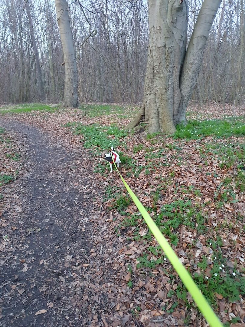 Aus gesundheitlichen Gründen