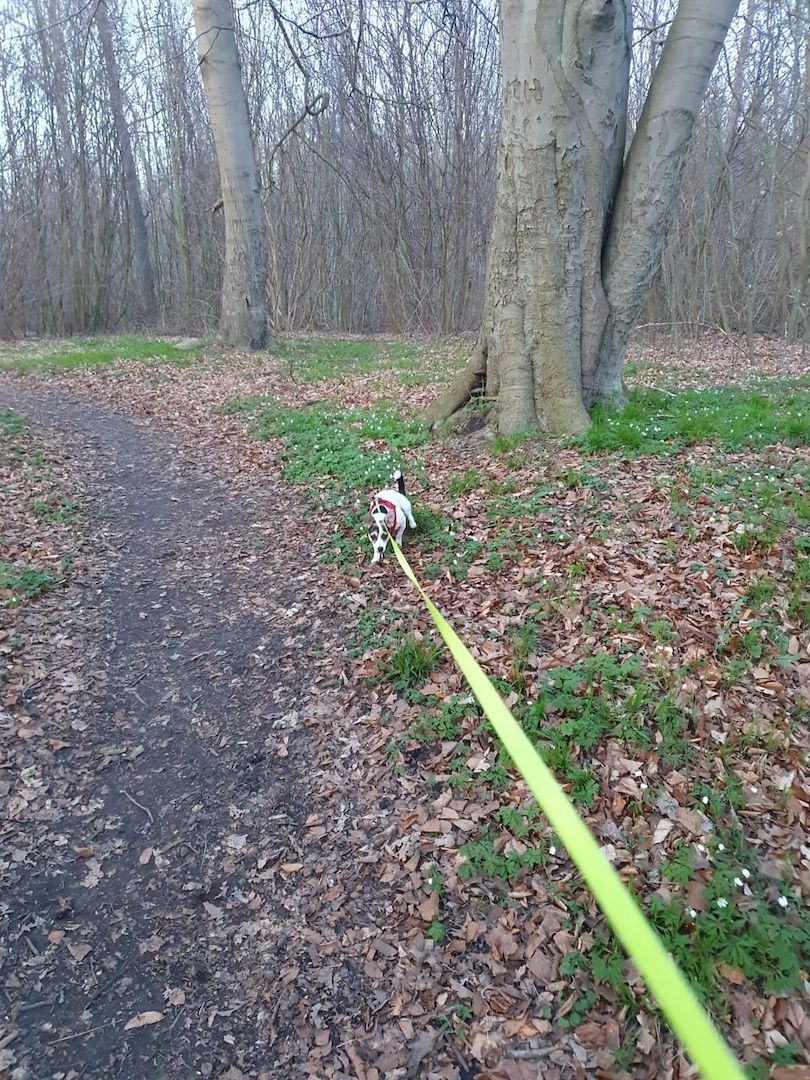 Aus gesundheitlichen Gründen