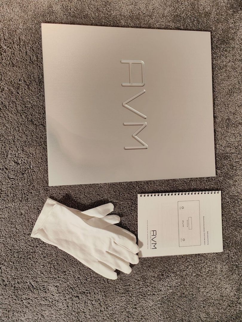 AVM SA8.2 SA 8.2 High End Endstufe in silber aus 2019 geserviced