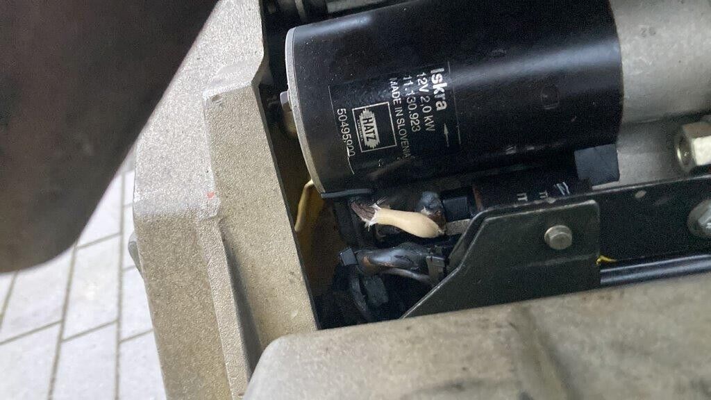 Wacker Rüttelplatte 6055