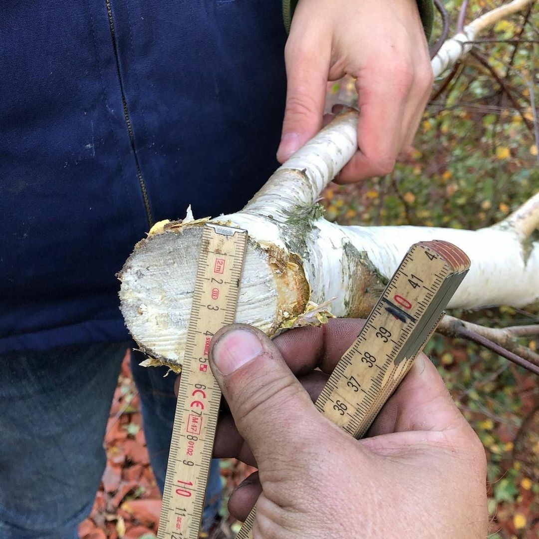 Heckenschere Schere mit Arm 160cm Schlepper Dreipunk Heckenschneider hydraulisch