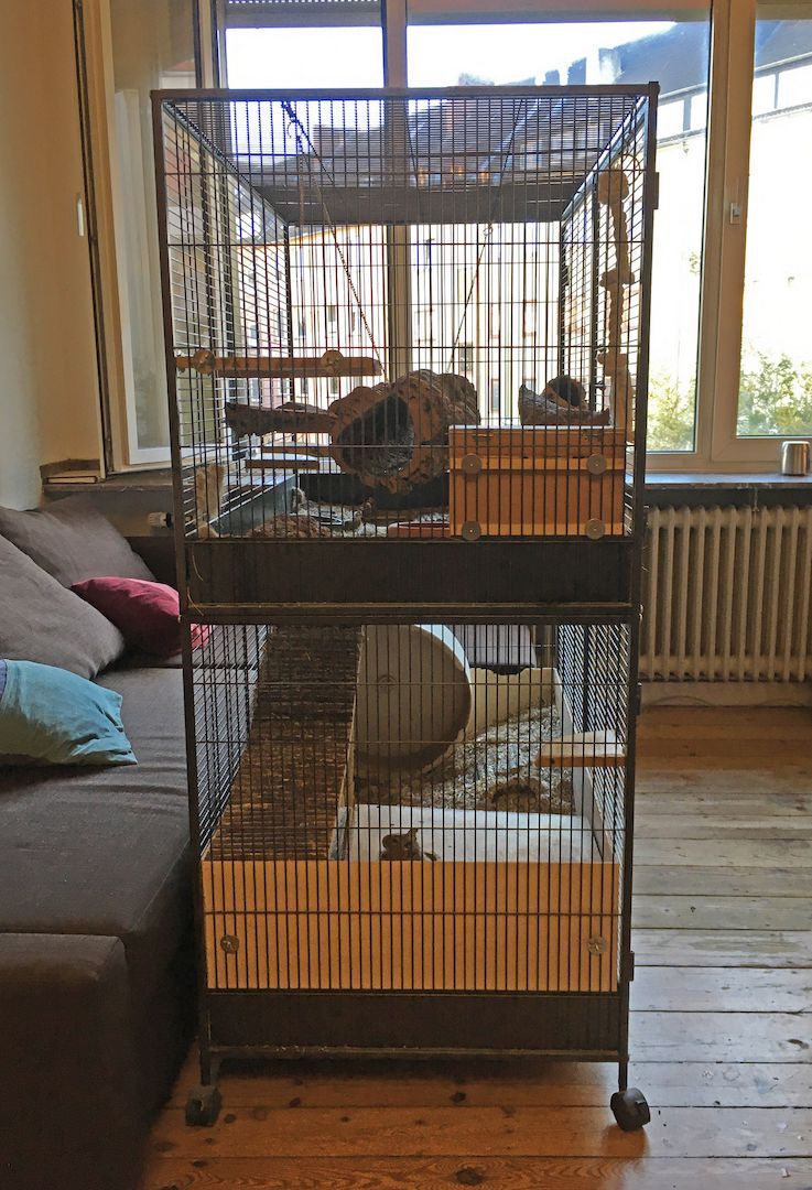 Savic Suite Royal XL Kleintier Käfig