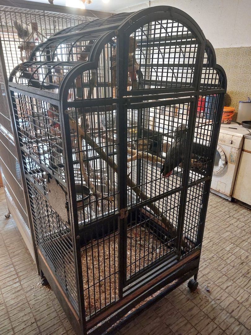 Diverse Vogel/Papageienkäfige. Umzug Sonderpreis!