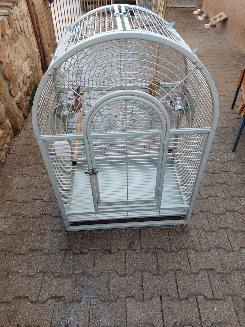 Diverse Vogel/Papageienkäfige. Umzug Sonderpreis!