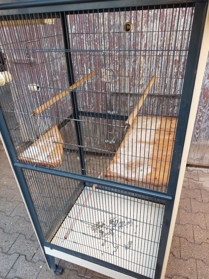 Diverse Vogel/Papageienkäfige. Umzug Sonderpreis!