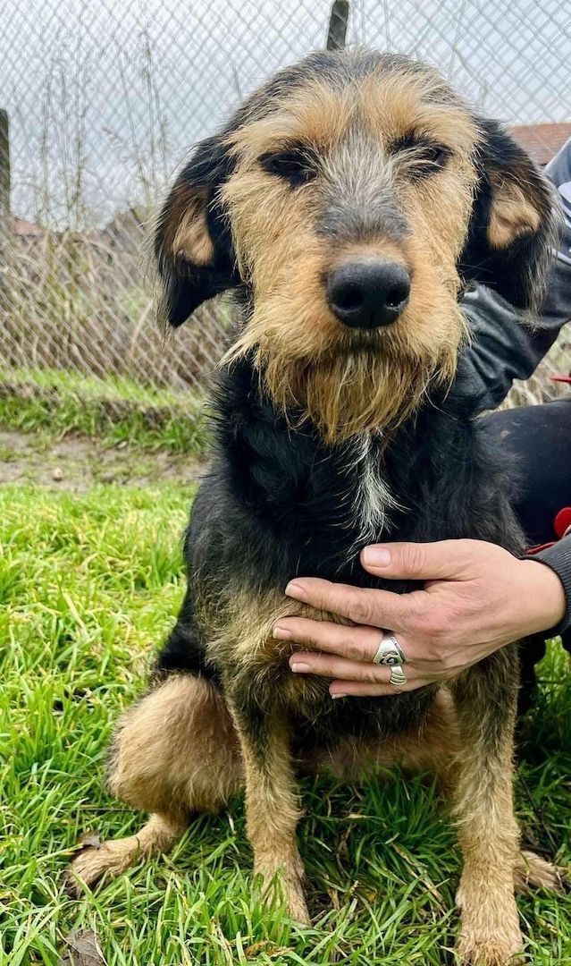 Wo ist meine Familie