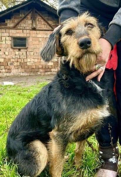 Wo ist meine Familie