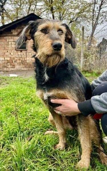 Wo ist meine Familie