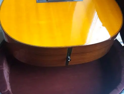 Westerngitarre Martin Gitarre OM-21 mit Originalkoffer