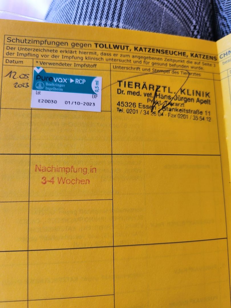 BKH Golden Black Shaded