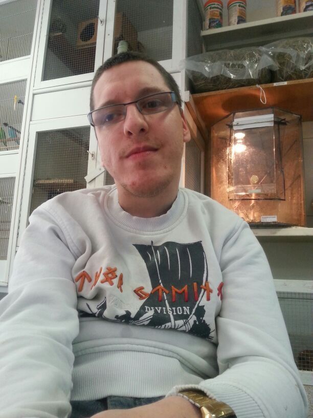 soso traumfrau gesucht