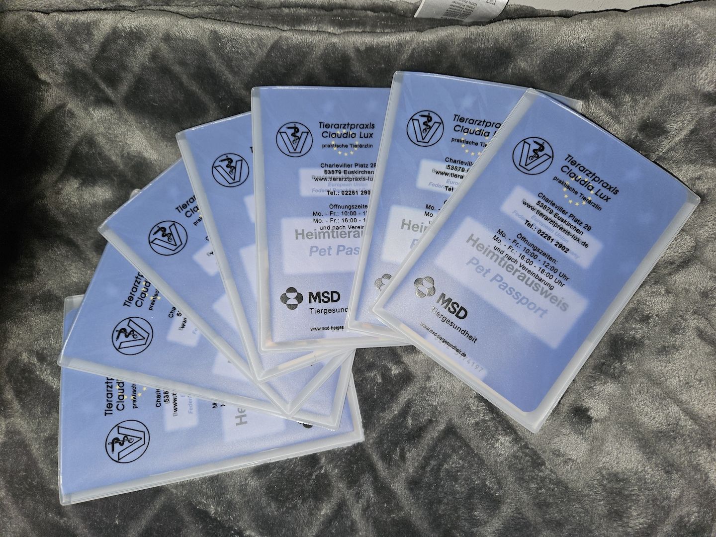 Presa Canario Welpen