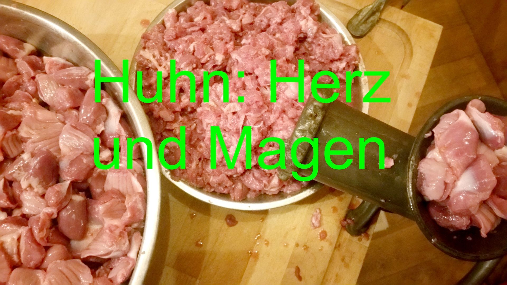 Siamkitten - Old Style Siamese (Wichien-Maat)