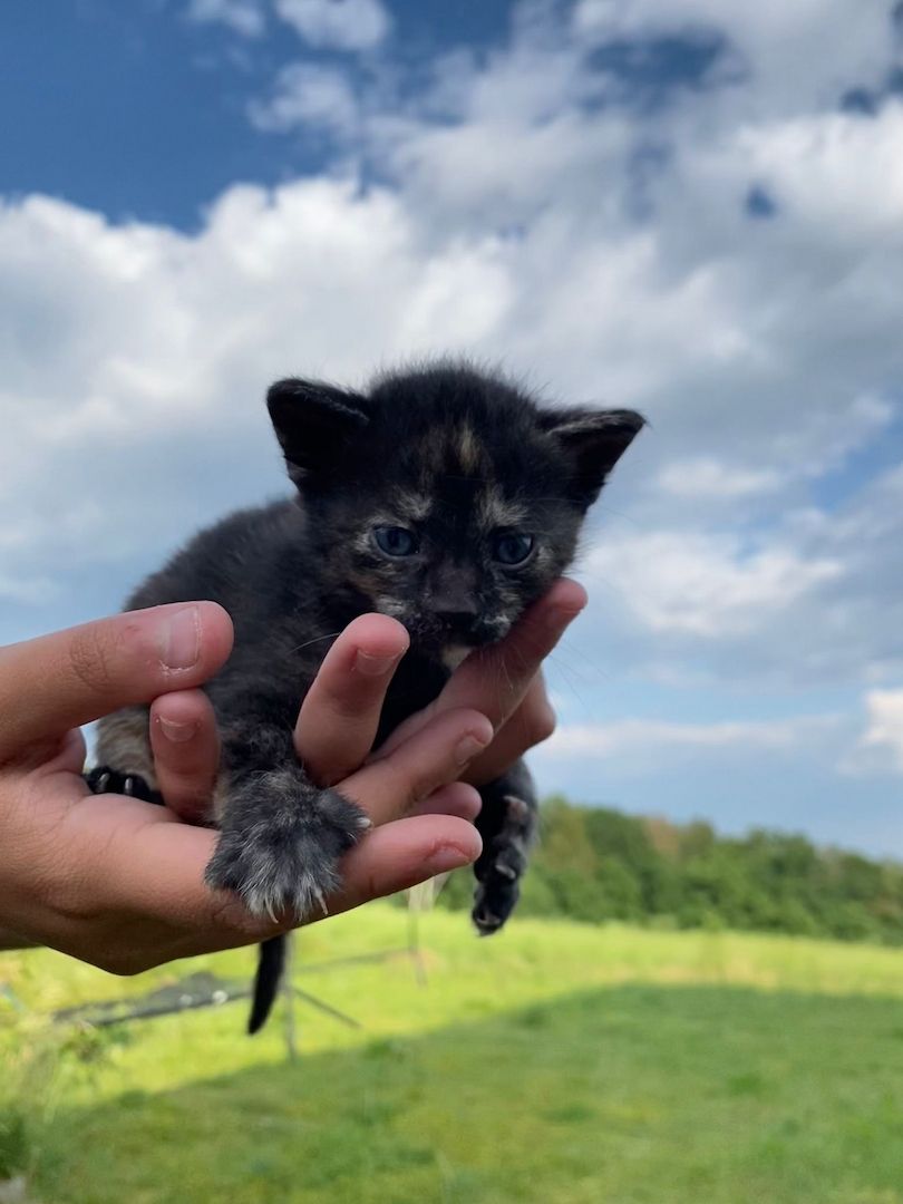 Frieda hat Babys bekommen ❤️