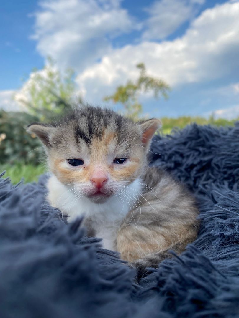 Frieda hat Babys bekommen ❤️