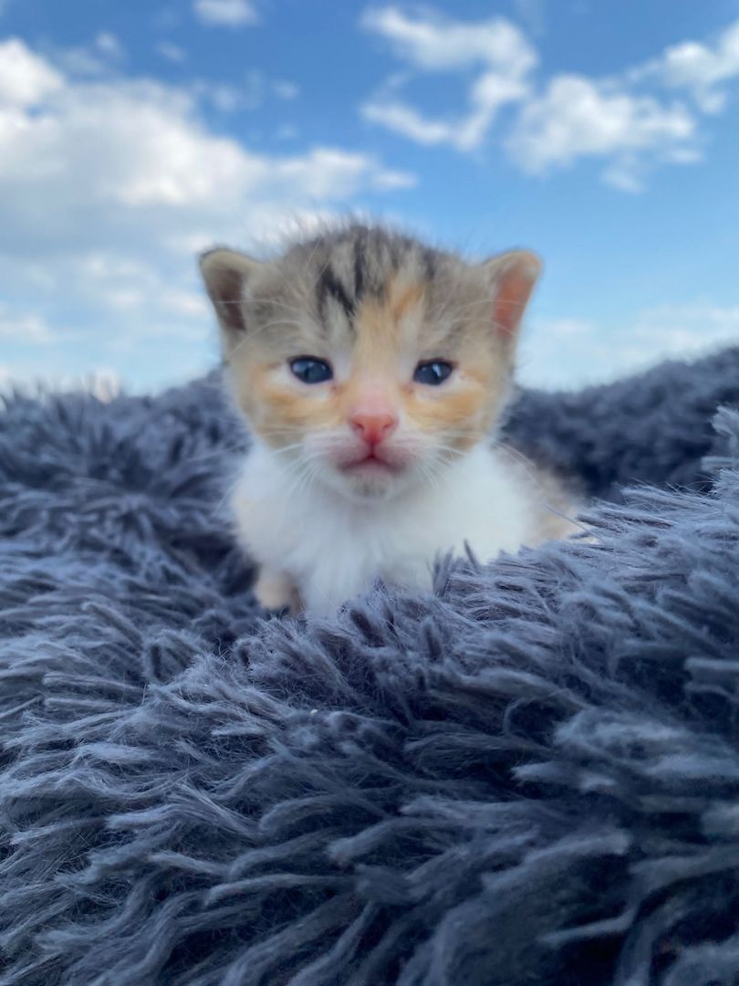 Frieda hat Babys bekommen ❤️