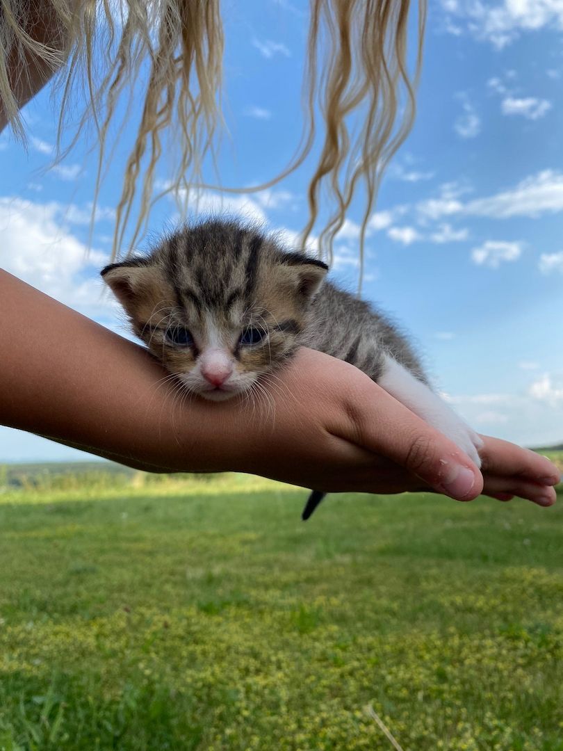 Frieda hat Babys bekommen ❤️