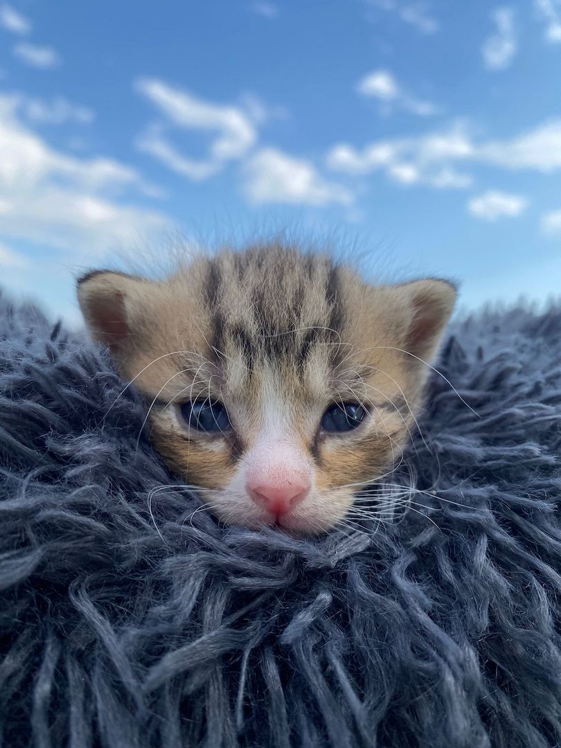 Frieda hat Babys bekommen ❤️