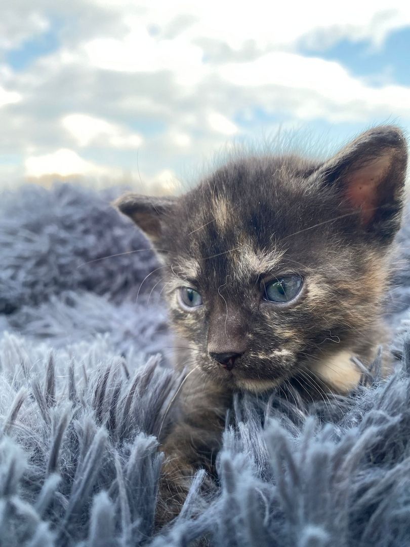 Frieda hat Babys bekommen ❤️